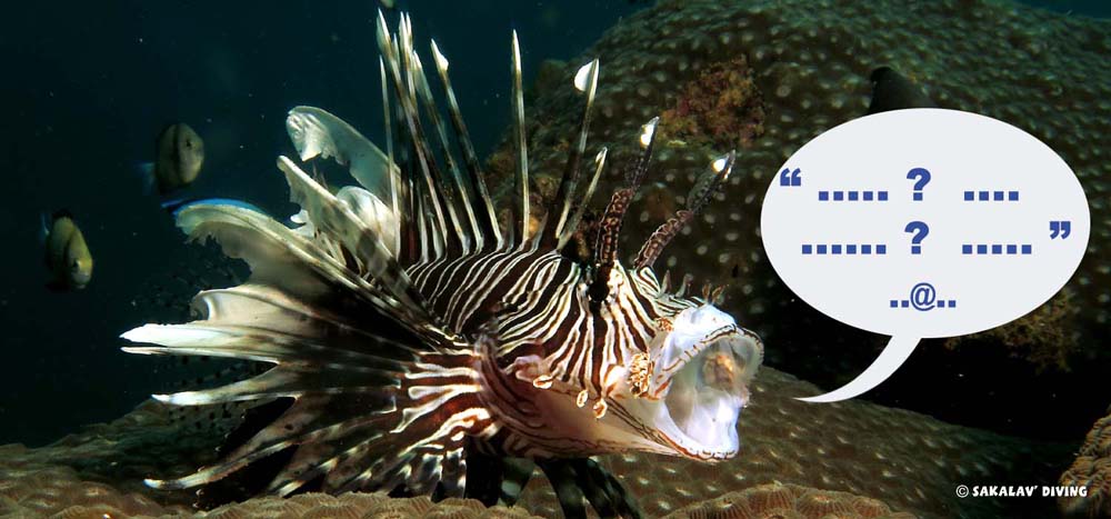 Contact Centre de plongée /diving center Nosy Be Madagascar